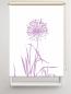 Preview: RolloRollo Allium 24 blanco flieder, Rollo, Motivrollo, Rollo mit Druck, Fotorollo, bedrucktes Rollo, Fensterrollo,verdunkelndes Rollo, Sonnenschutz Rollo